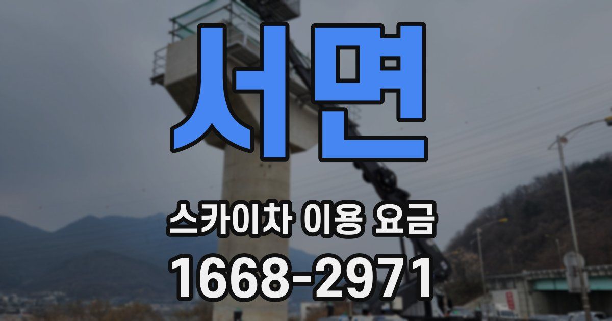 서면 스카이차 이용 요금