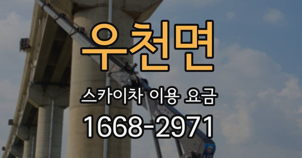 우천면 스카이차 이용 요금