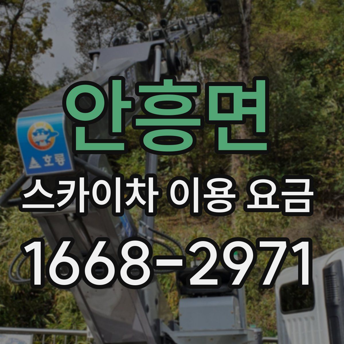 안흥면 스카이차 이용 요금