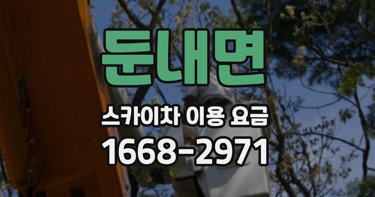 둔내면 스카이차 이용 요금
