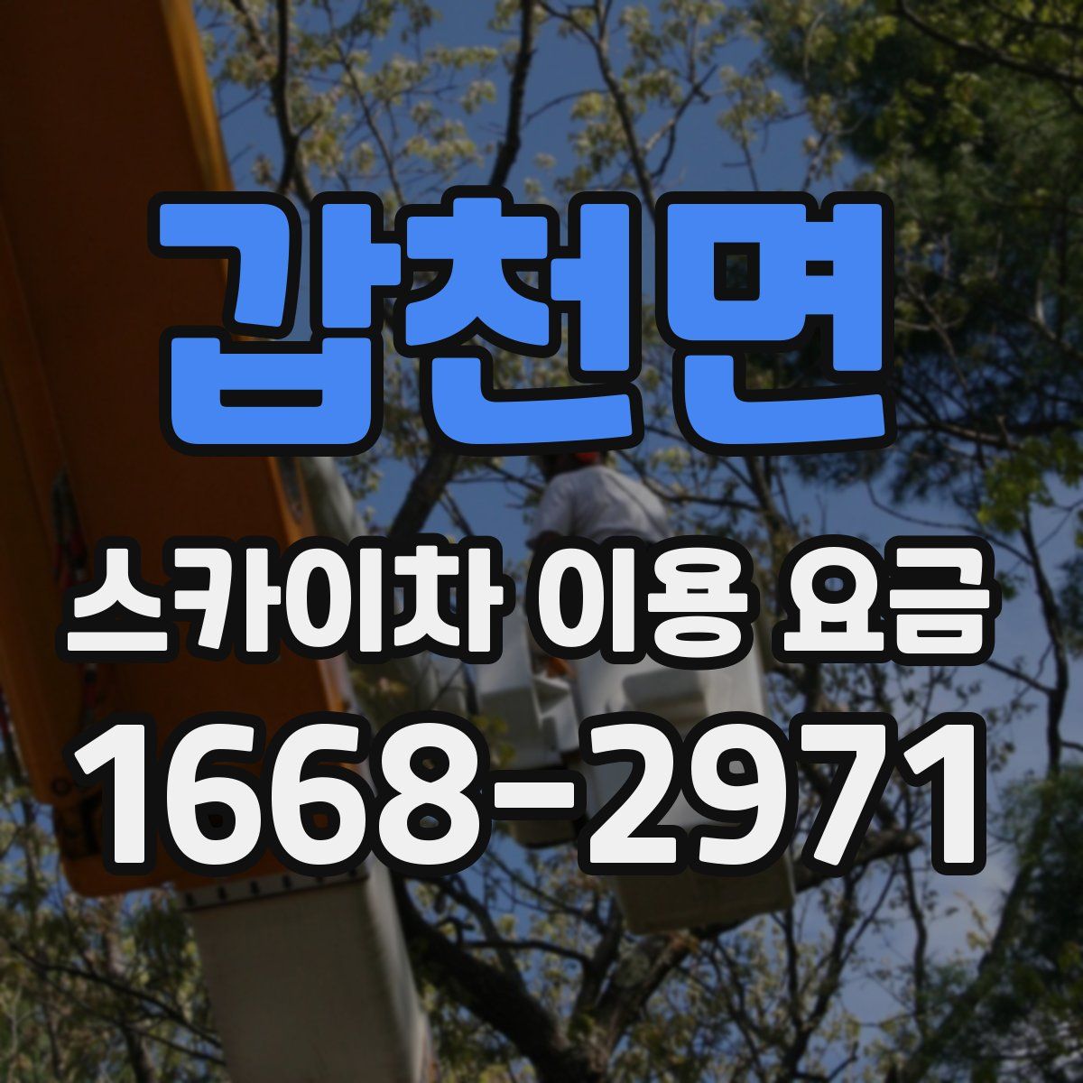갑천면 스카이차 이용 요금