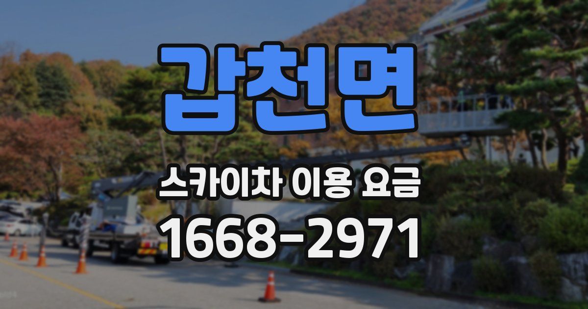 갑천면 스카이차 이용 요금