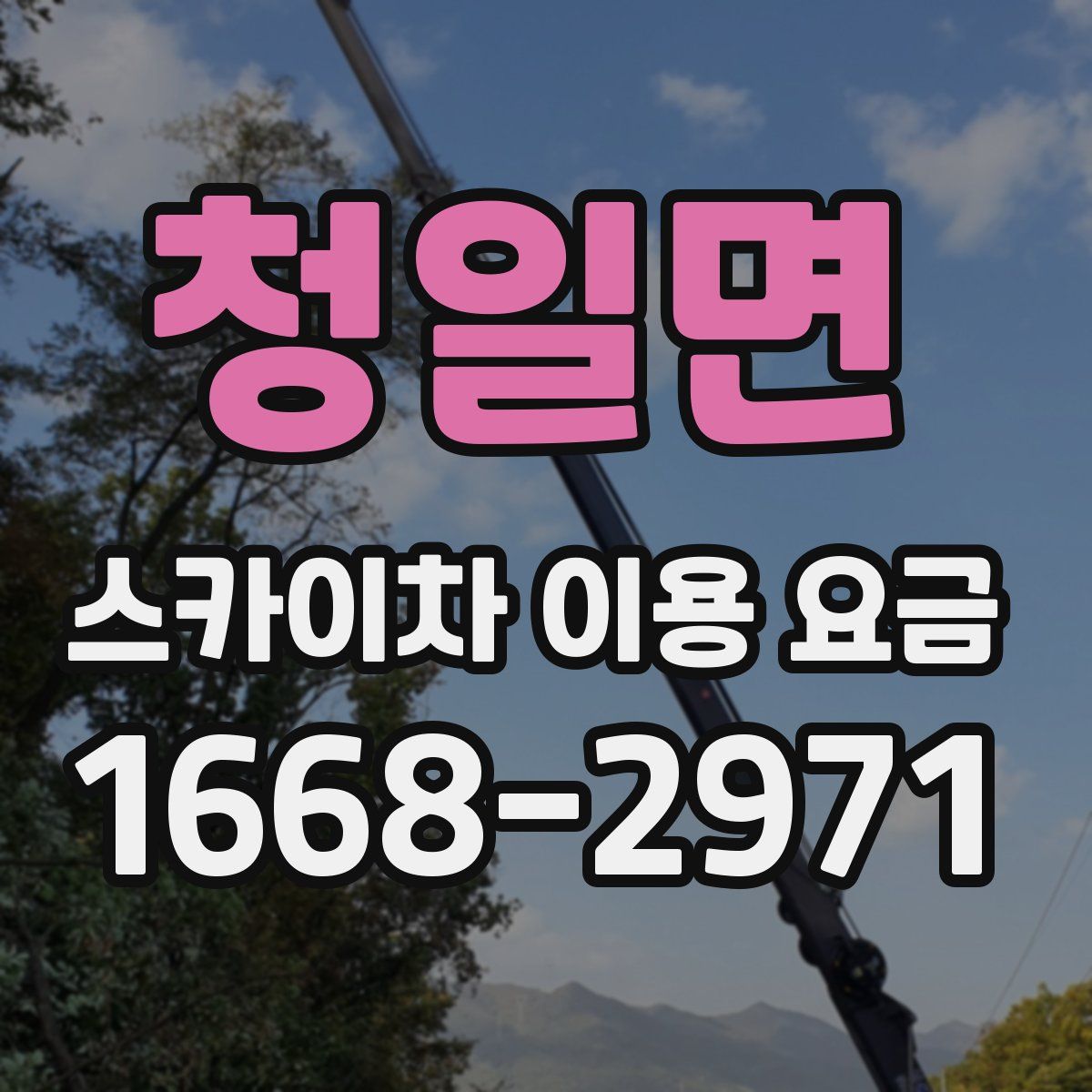 청일면 스카이차 이용 요금