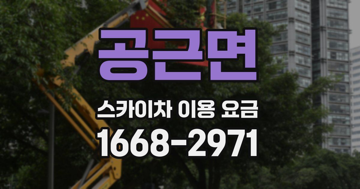 공근면 스카이차 이용 요금