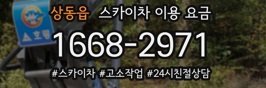 상동읍 스카이차 이용 요금