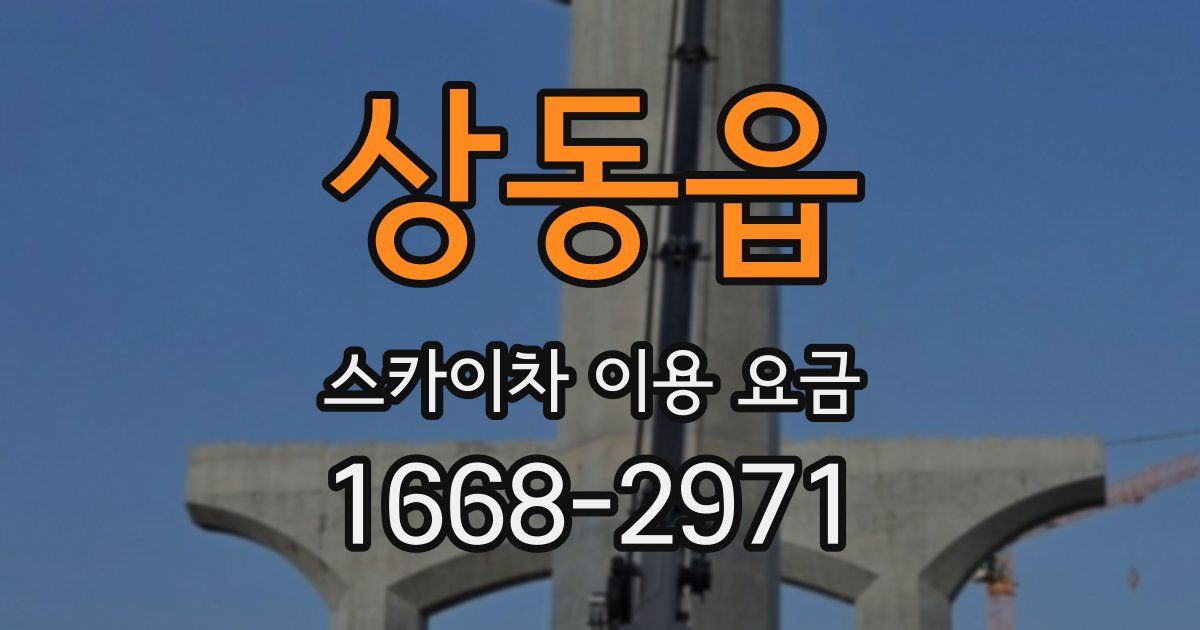 상동읍 스카이차 이용 요금