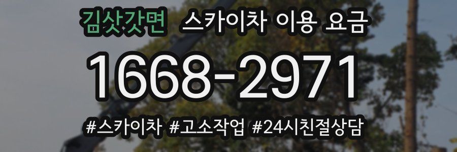 김삿갓면 스카이차 이용 요금