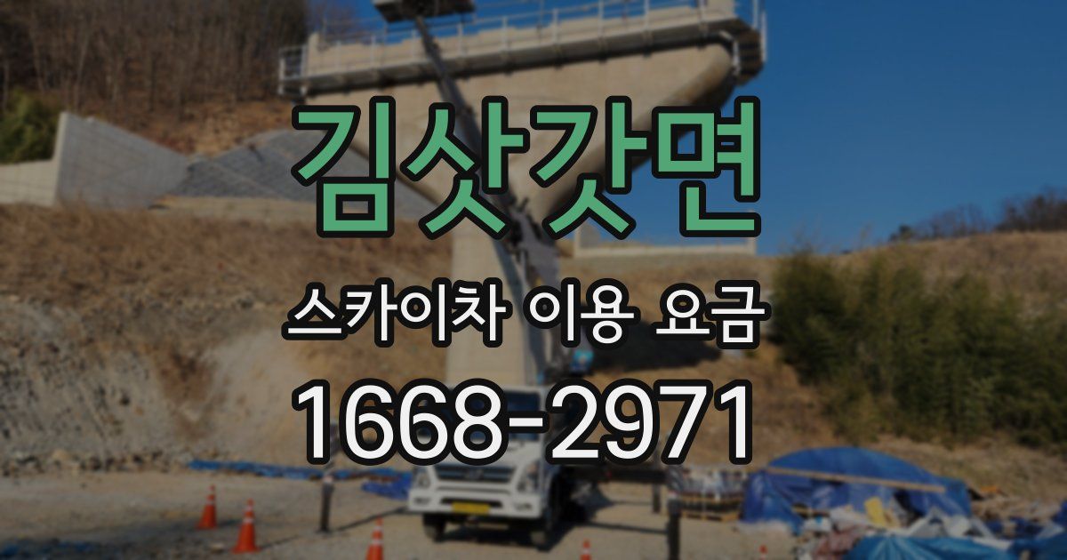 김삿갓면 스카이차 이용 요금