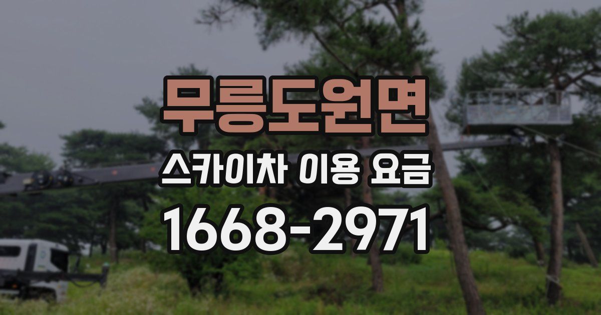 무릉도원면 스카이차 이용 요금