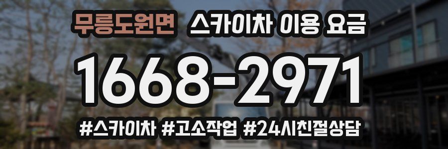 무릉도원면 스카이차 이용 요금