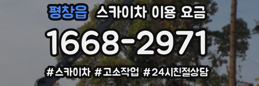 평창읍 스카이차 이용 요금