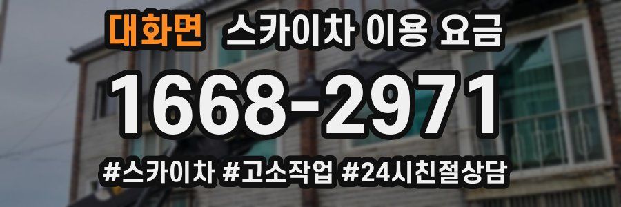 대화면 스카이차 이용 요금