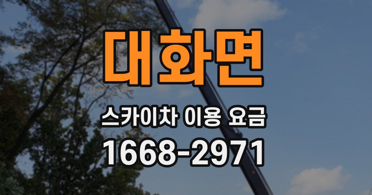 대화면 스카이차 이용 요금