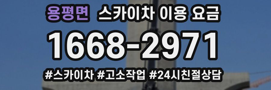용평면 스카이차 이용 요금
