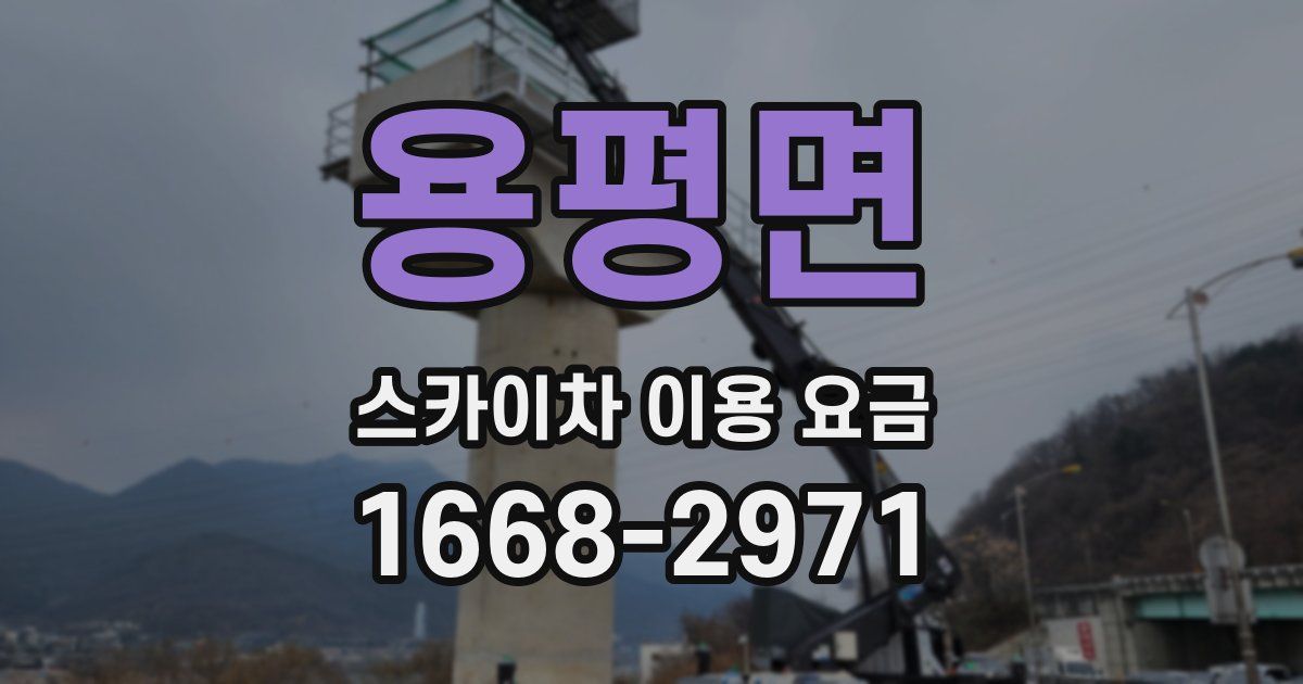 용평면 스카이차 이용 요금