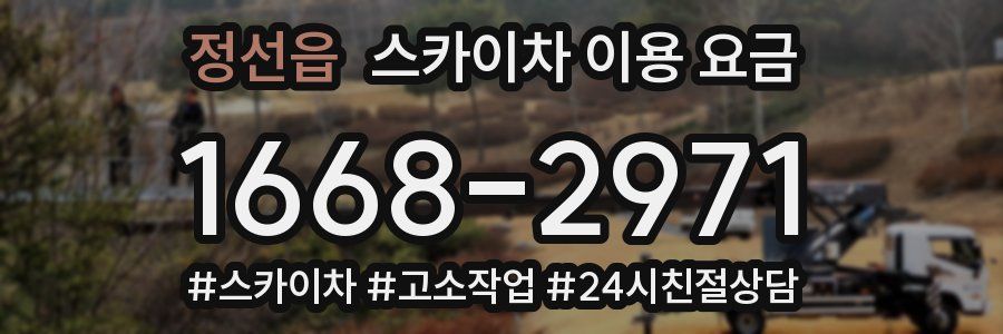 정선읍 스카이차 이용 요금