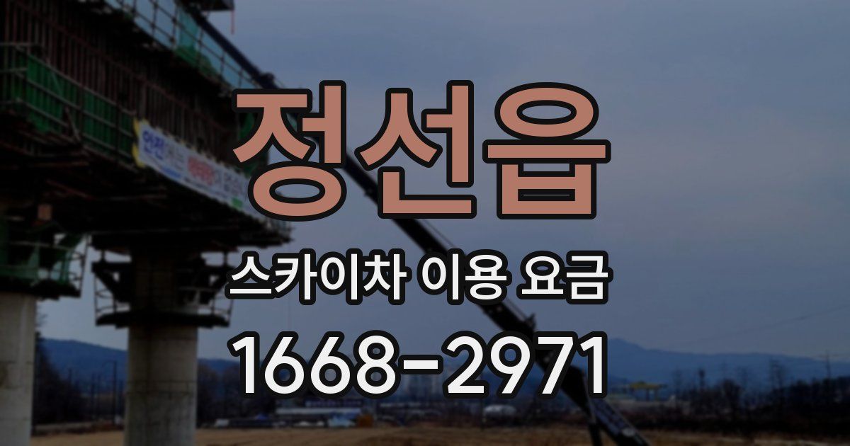 정선읍 스카이차 이용 요금
