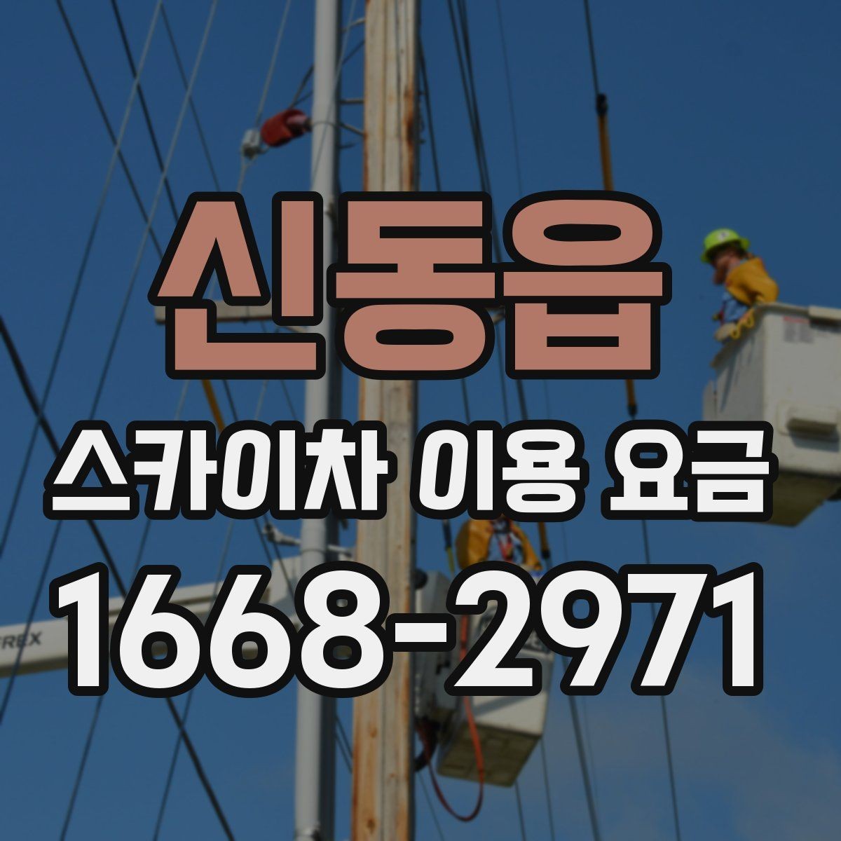 신동읍 스카이차 이용 요금 문의 시 자주 하는 실수