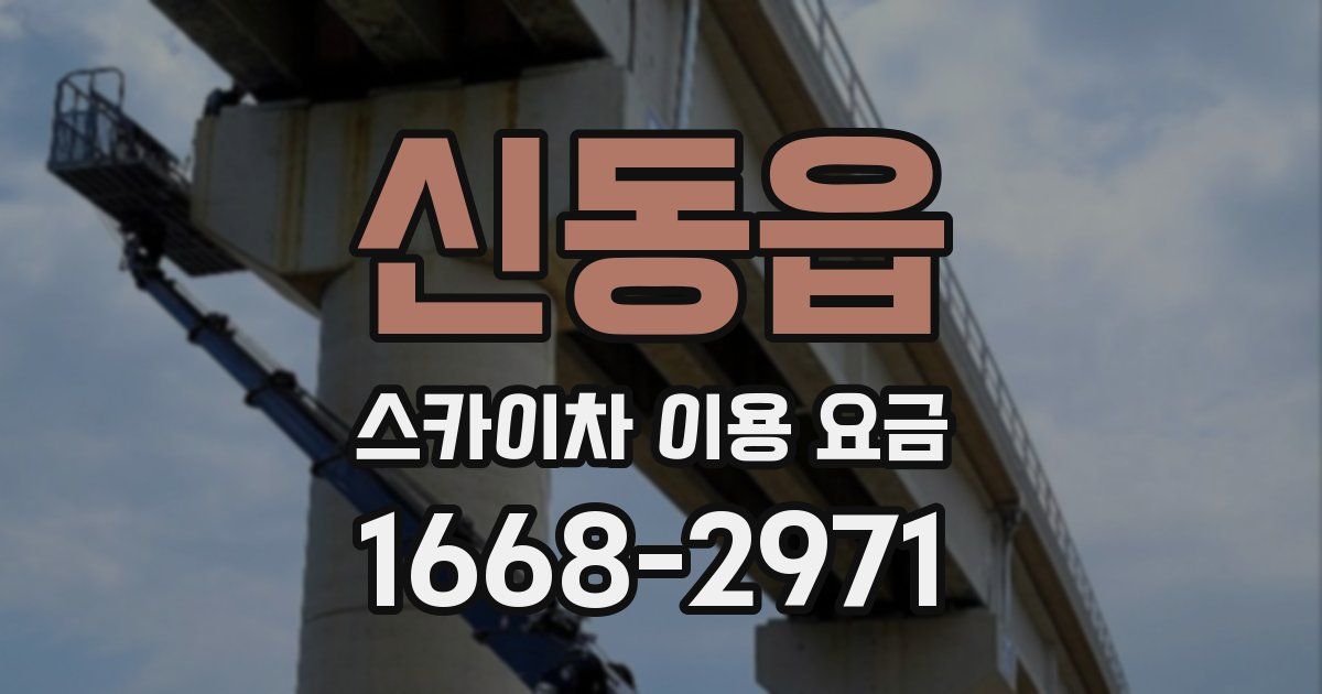 신동읍 스카이차 이용 요금