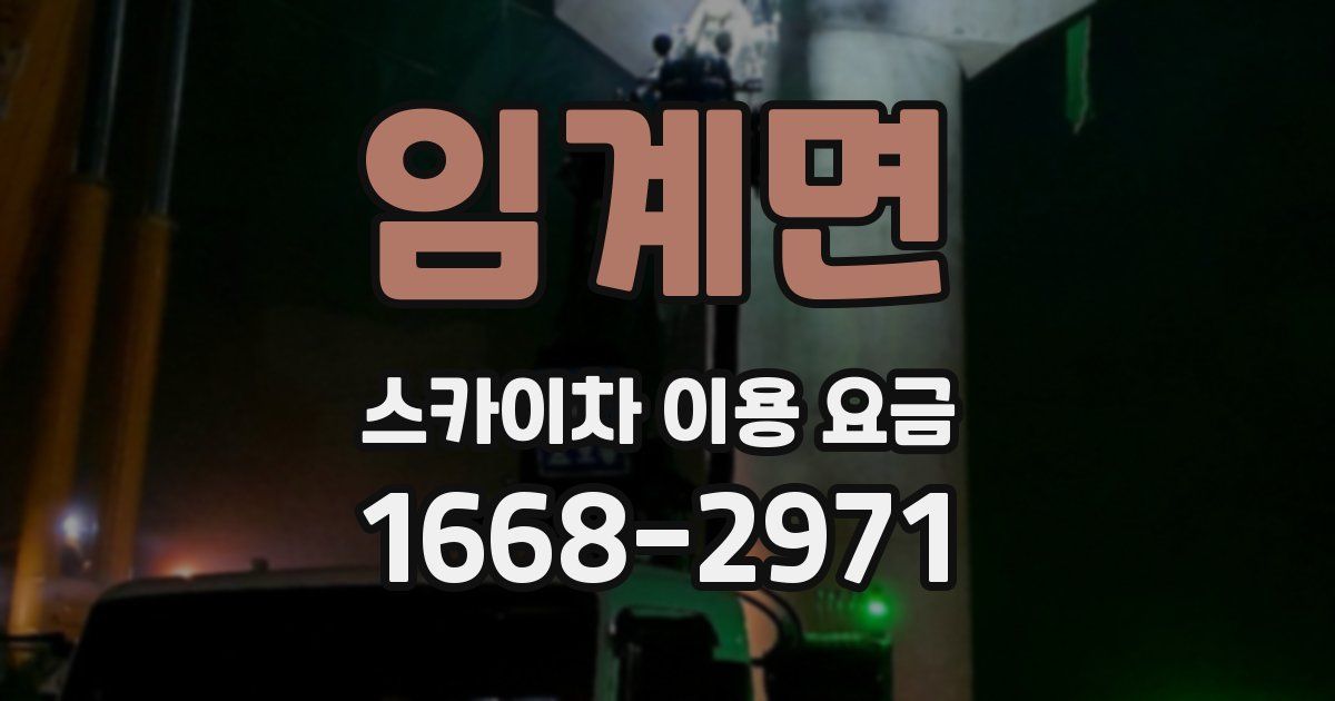 임계면 스카이차 이용 요금