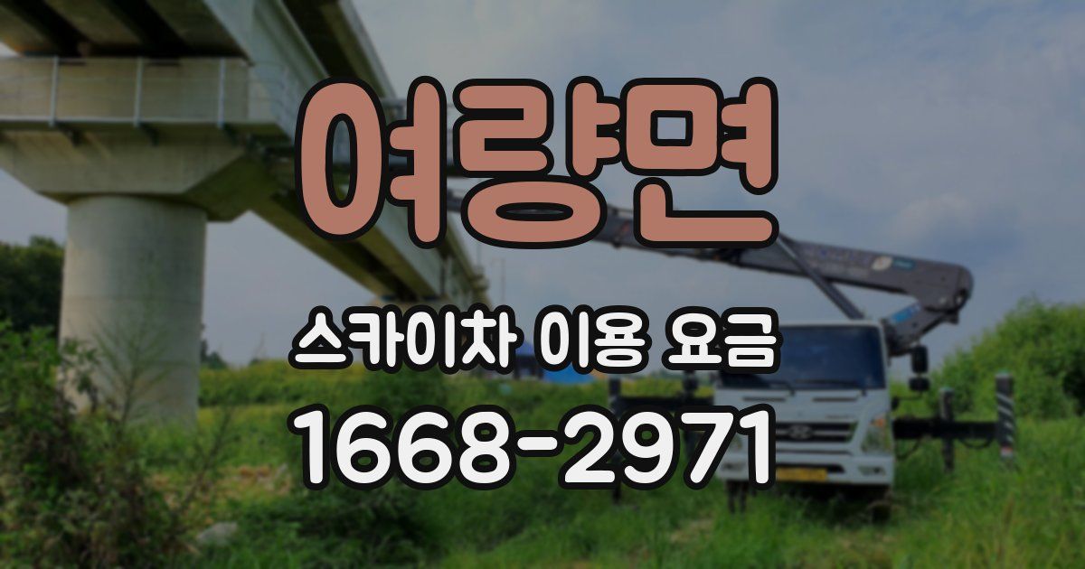 여량면 스카이차 이용 요금