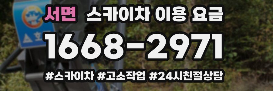 서면 스카이차 이용 요금