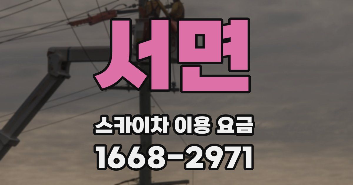 서면 스카이차 이용 요금