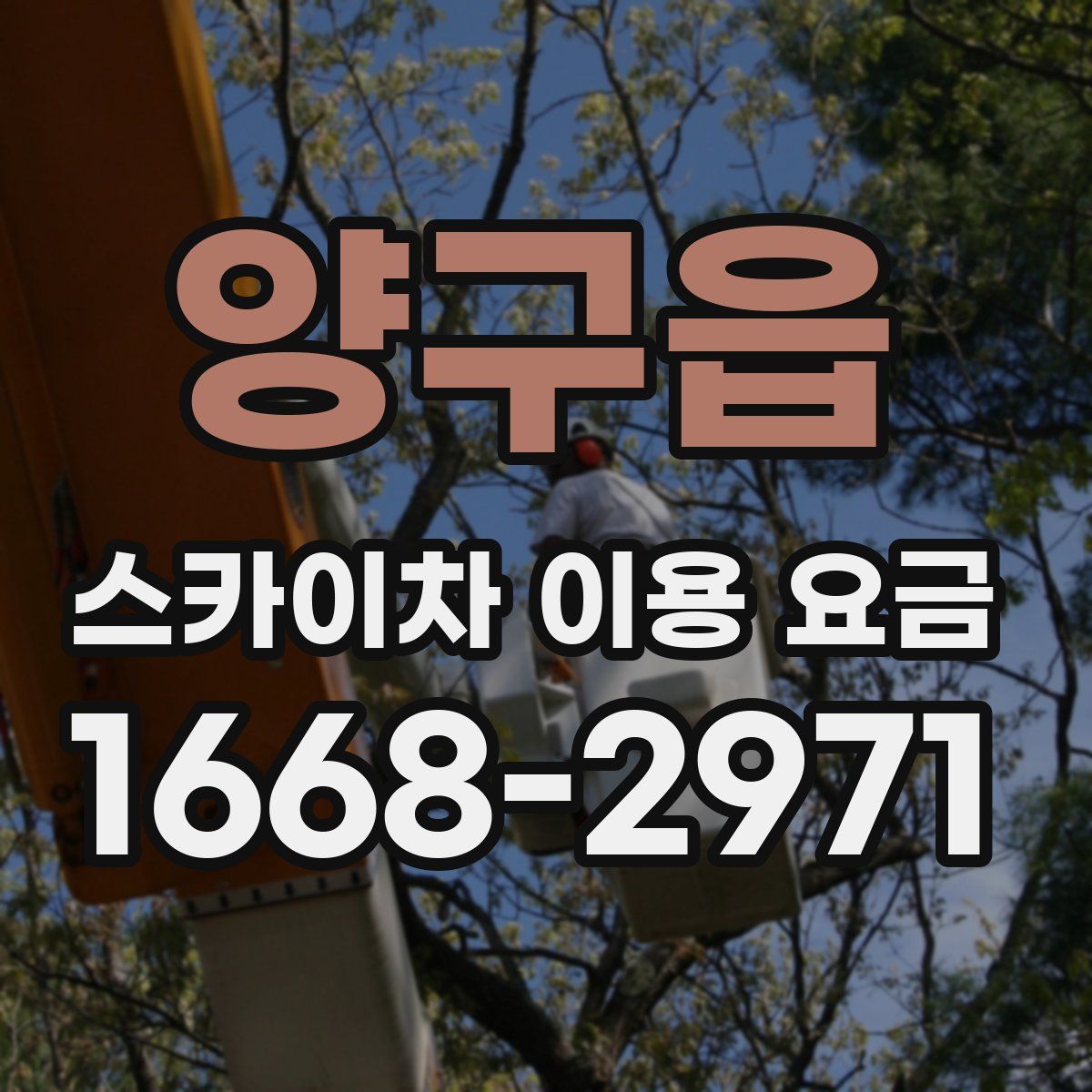 양구읍 스카이차 이용 요금