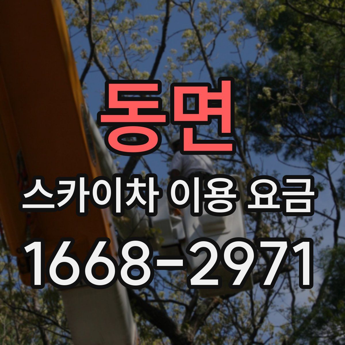 동면 스카이차 이용 요금