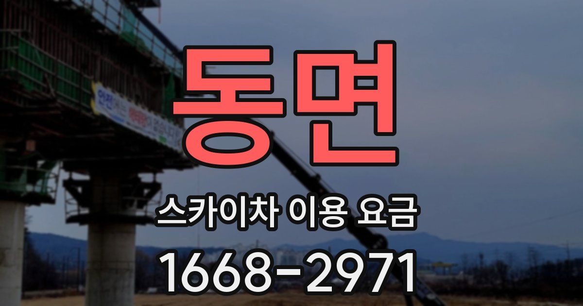동면 스카이차 이용 요금