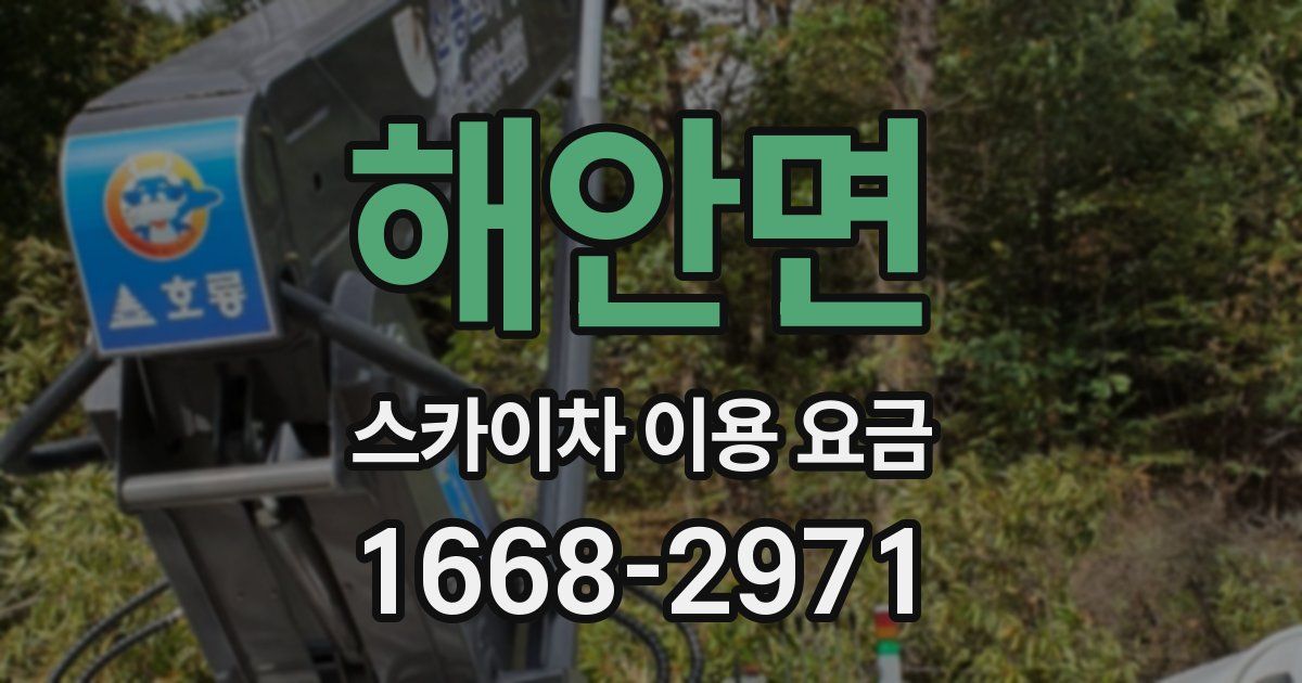 해안면 스카이차 이용 요금