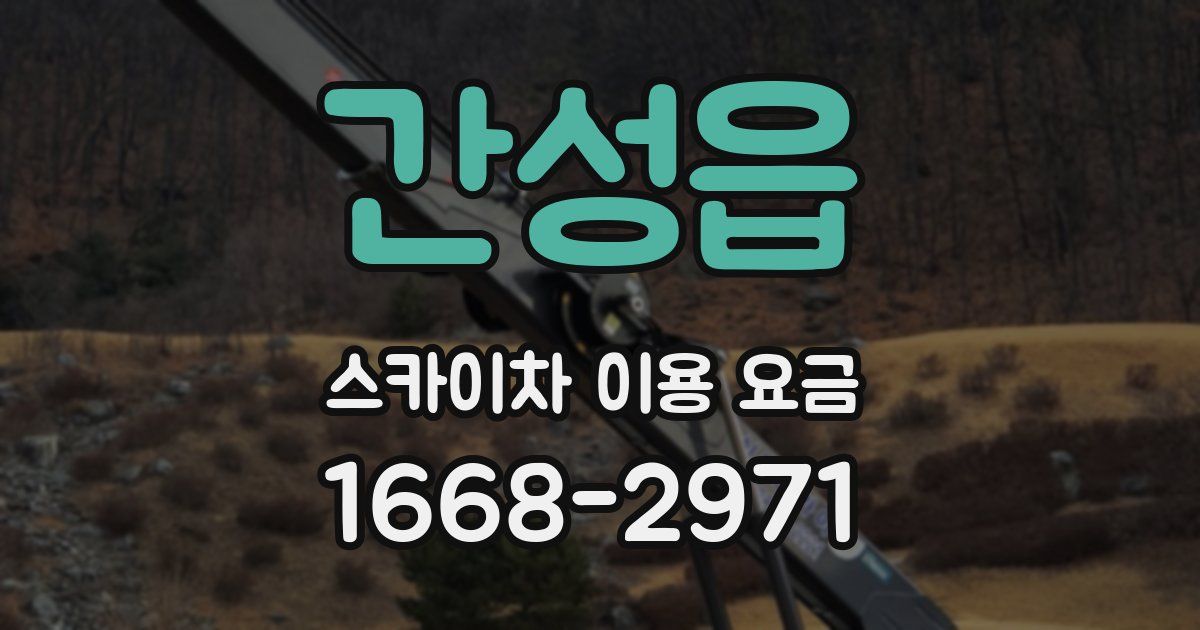 간성읍 스카이차 이용 요금