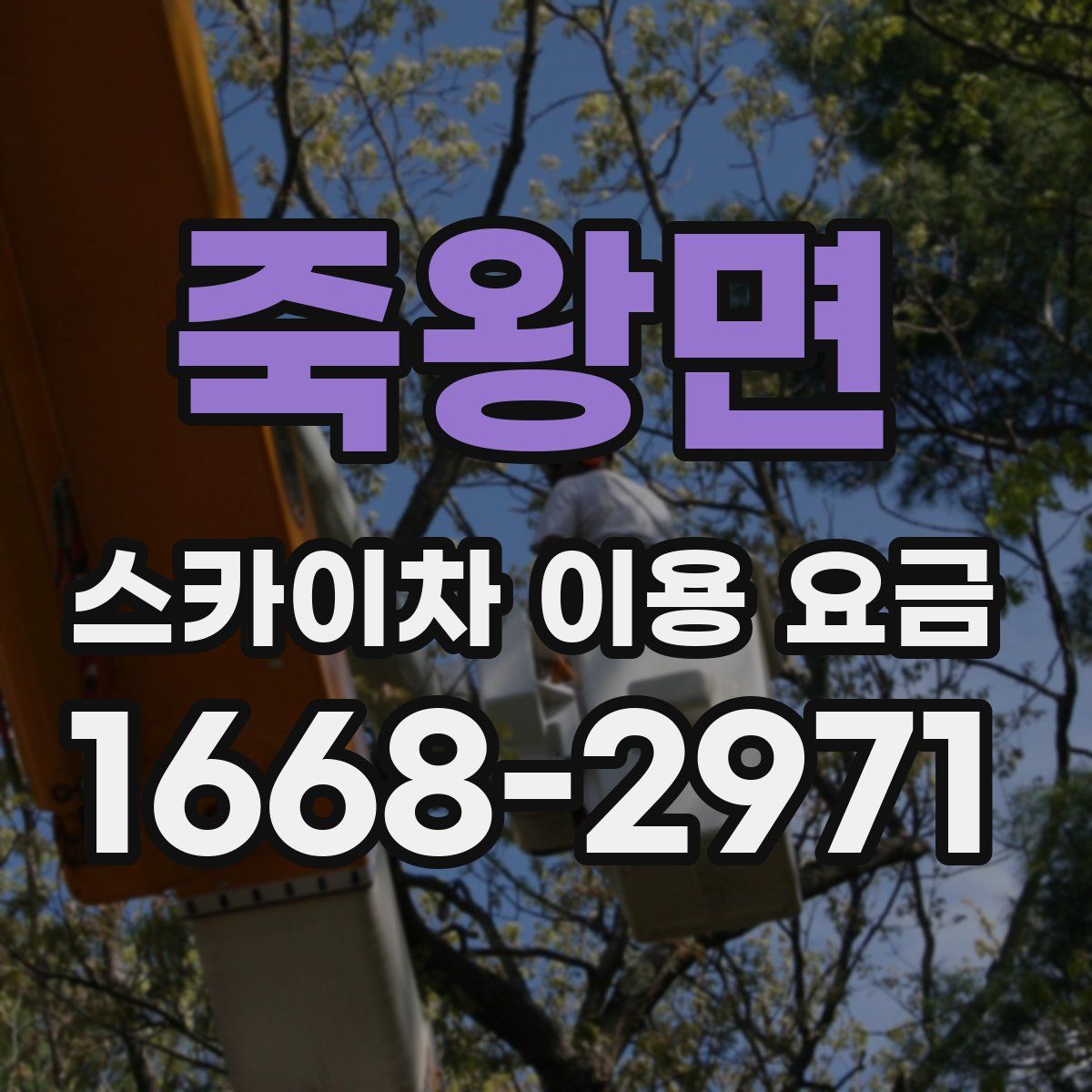 죽왕면 스카이차 이용 요금