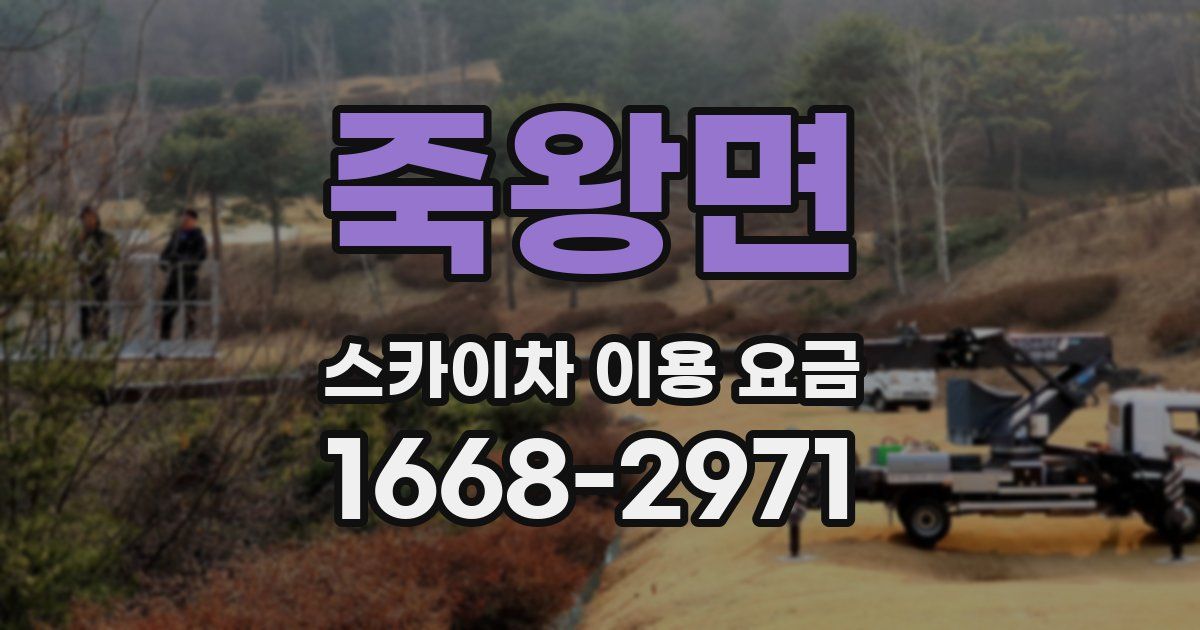 죽왕면 스카이차 이용 요금