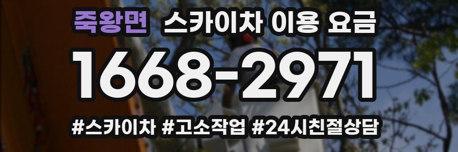 죽왕면 스카이차 이용 요금