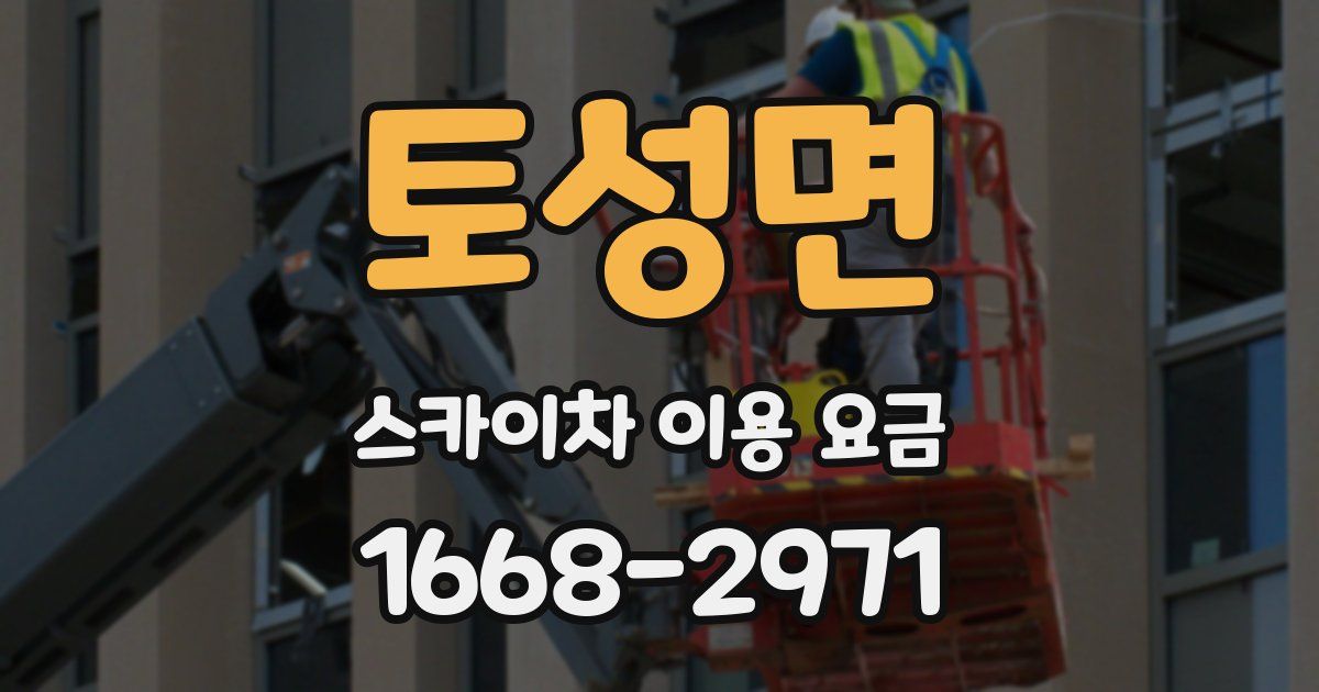 토성면 스카이차 이용 요금