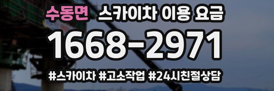 수동면 스카이차 이용 요금