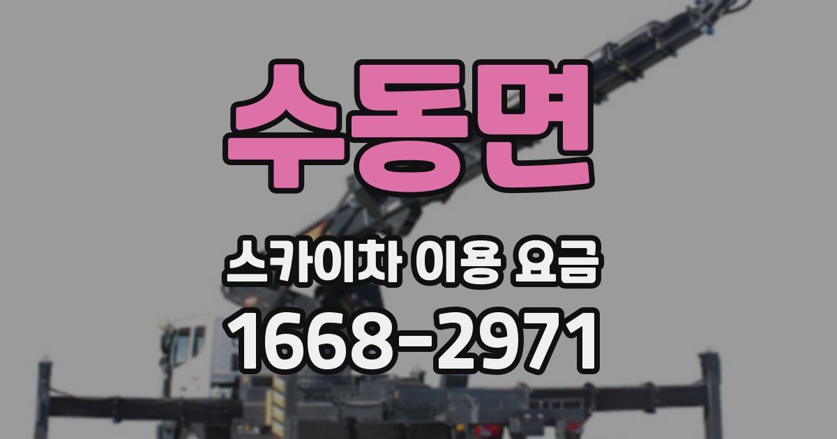 수동면 스카이차 이용 요금