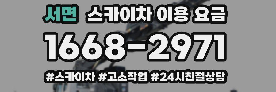 서면 스카이차 이용 요금