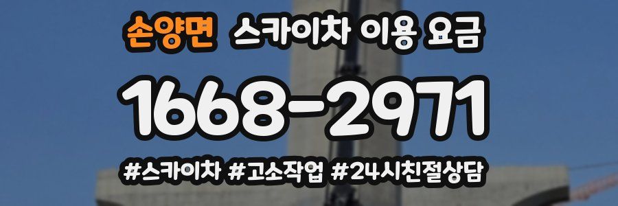 손양면 스카이차 이용 요금