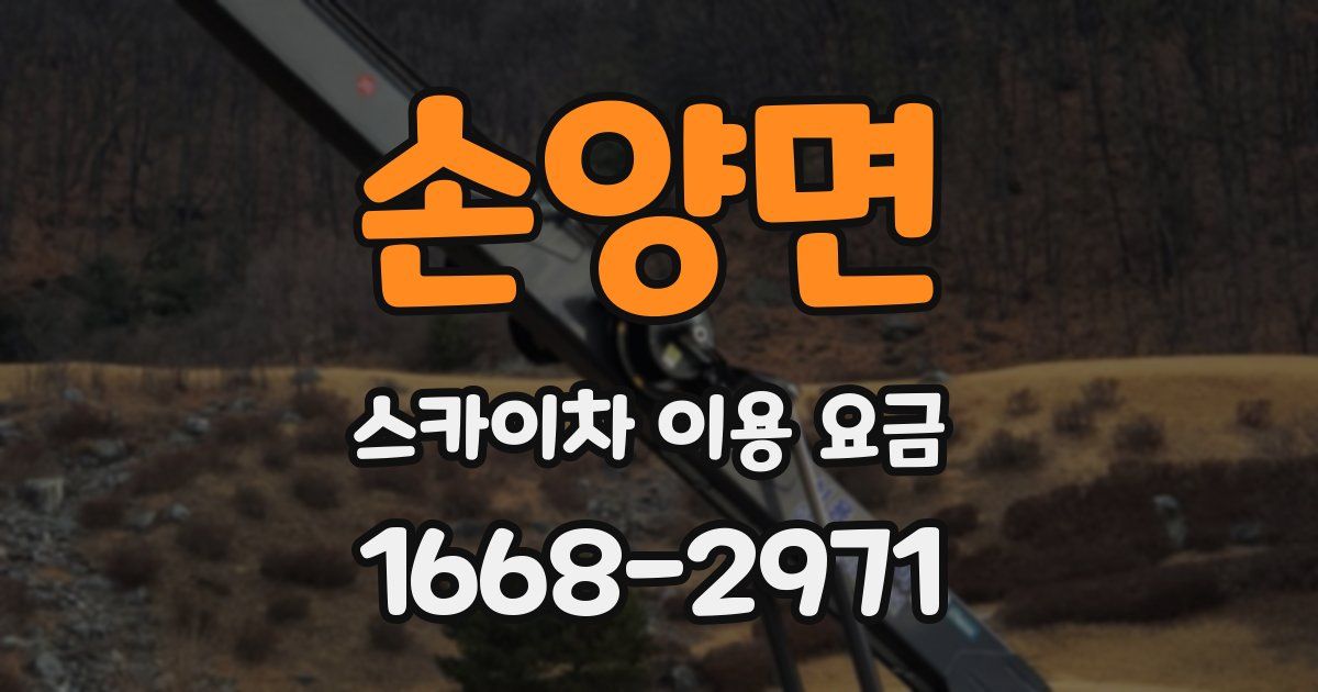 손양면 스카이차 이용 요금