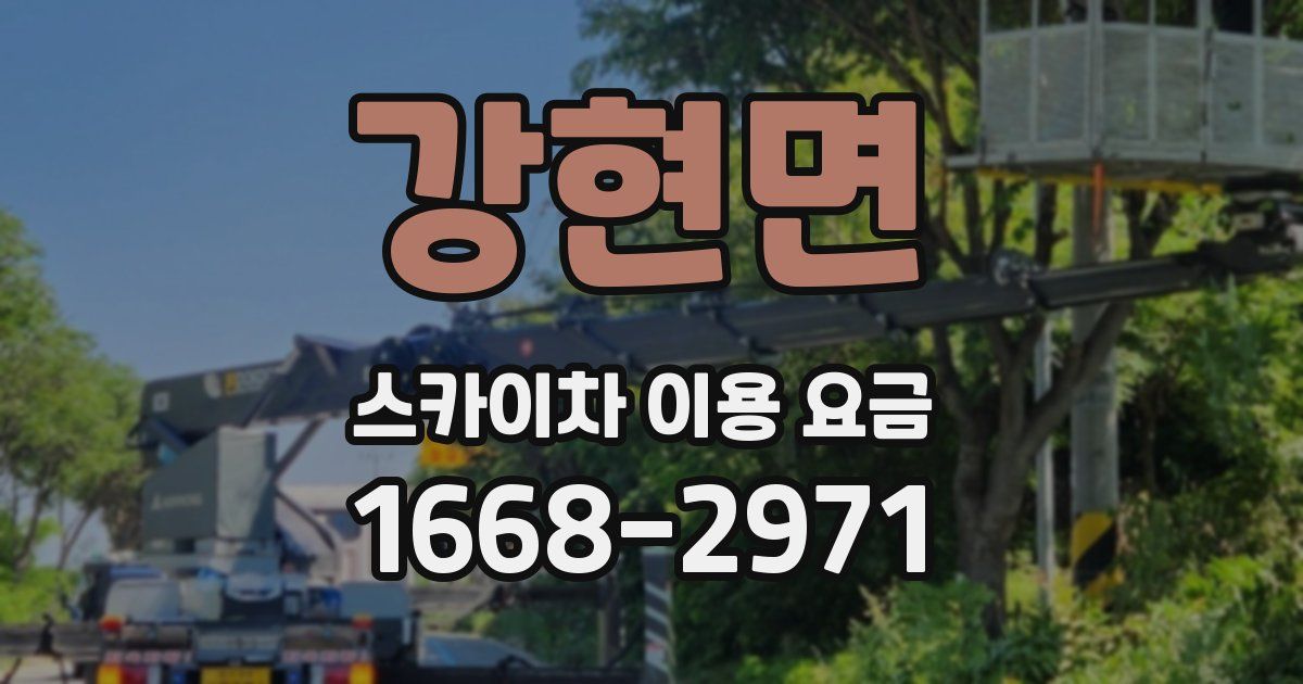 강현면 스카이차 이용 요금