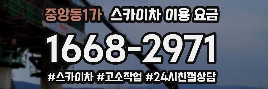 중앙동1가 스카이차 이용 요금