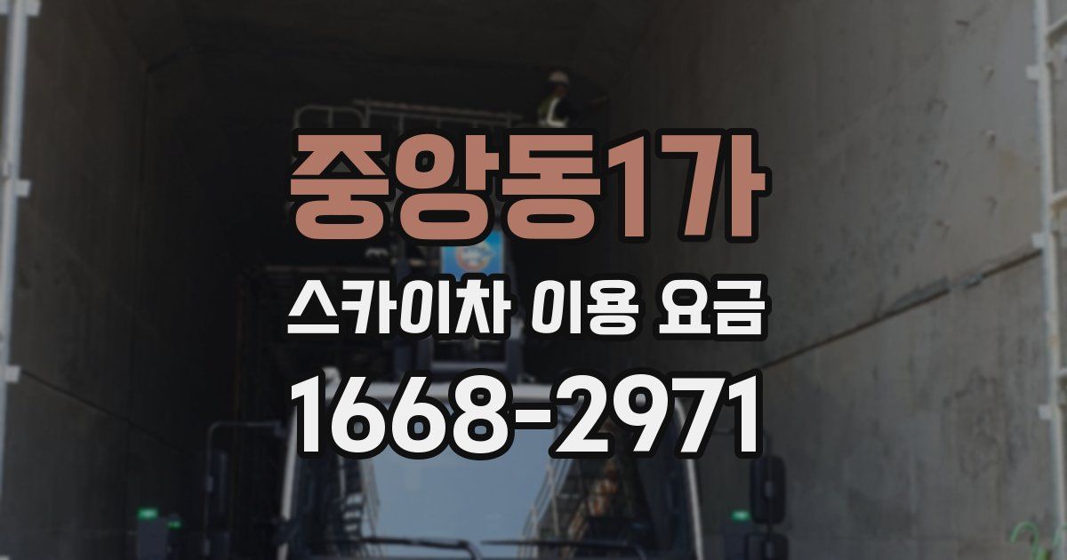 중앙동1가 스카이차 이용 요금