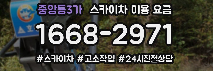 중앙동3가 스카이차 이용 요금