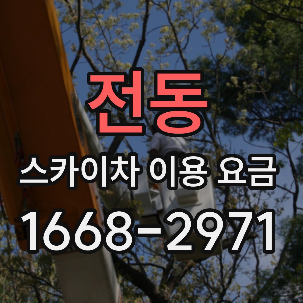 전동 스카이차 이용 요금