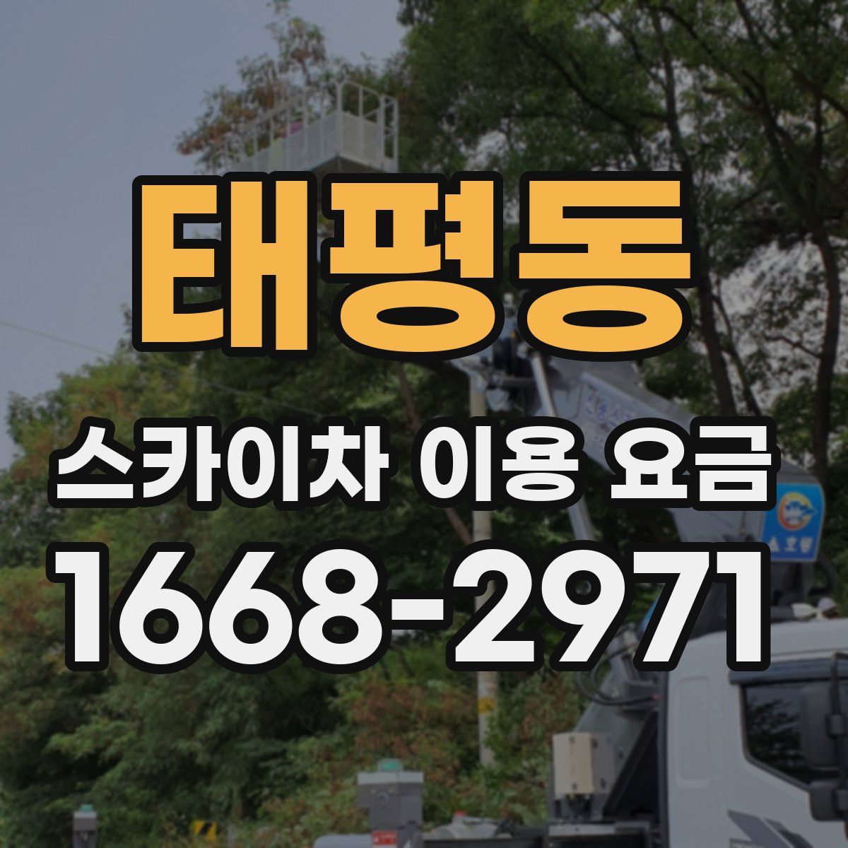태평동 스카이차 이용 요금