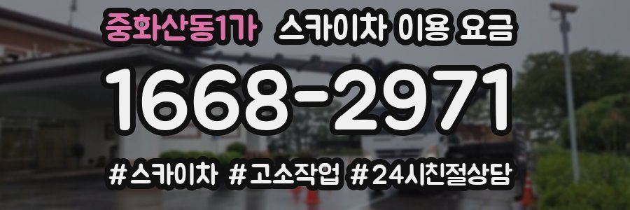중화산동1가 스카이차 이용 요금