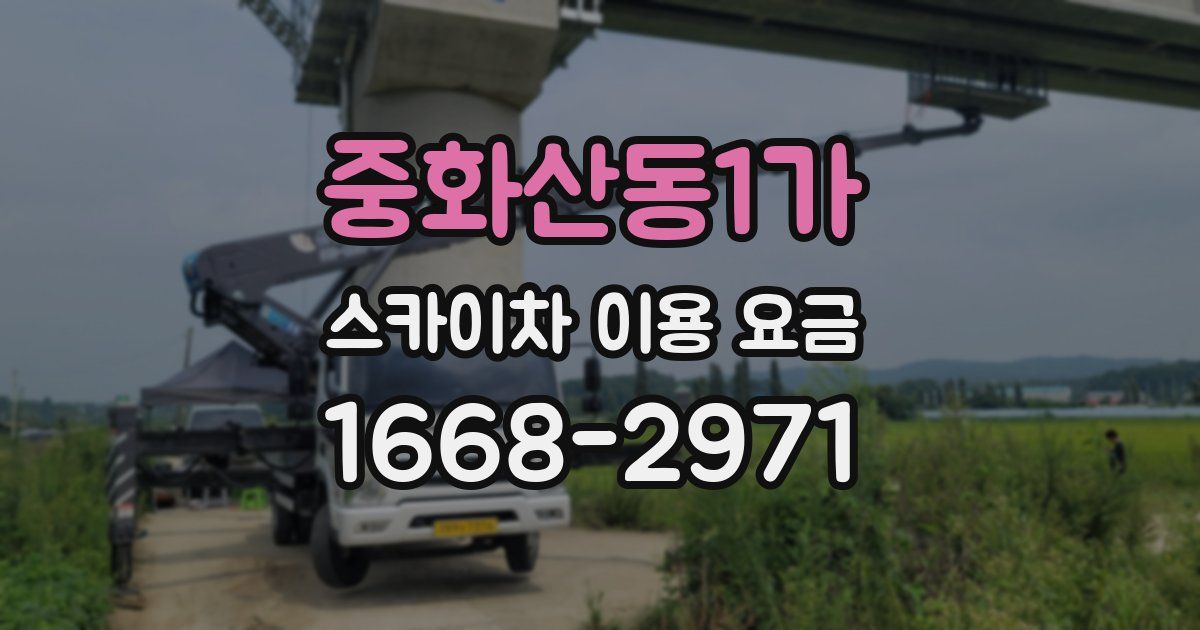 중화산동1가 스카이차 이용 요금