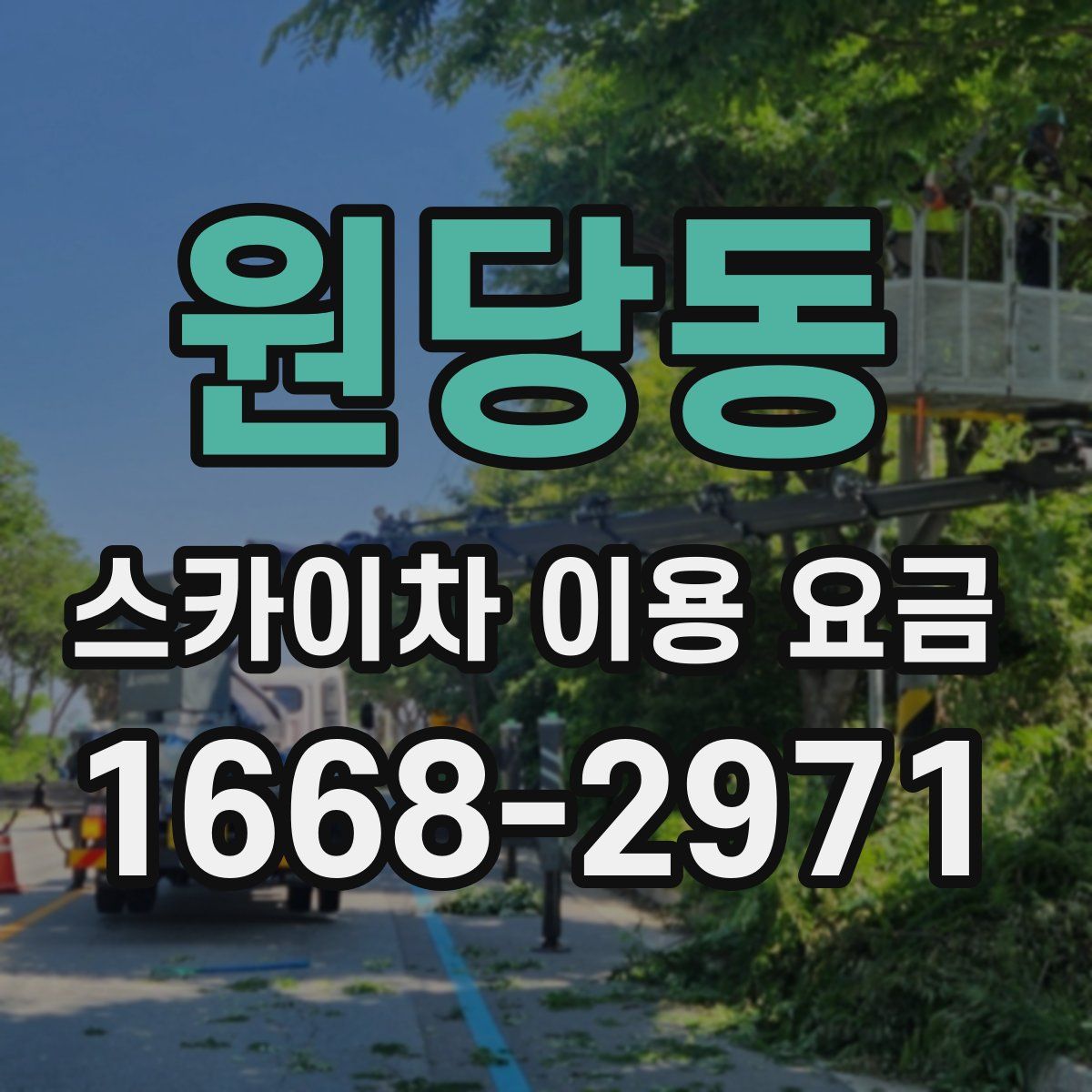 원당동 스카이차 이용 요금